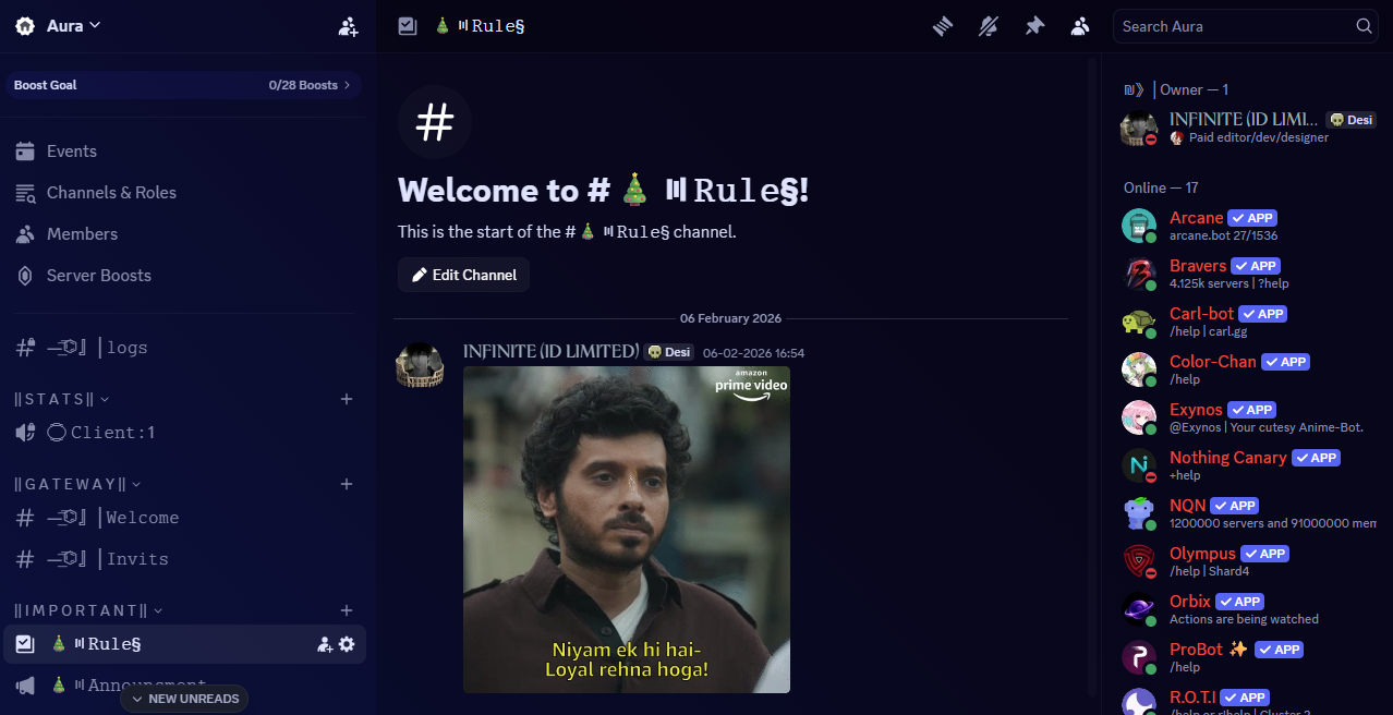Discord Setup 1